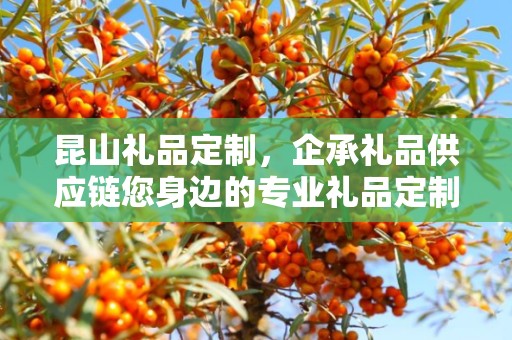 昆山礼品定制，企承礼品供应链您身边的专业礼品定制公司